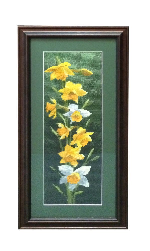 Daffodil cross stitch framed