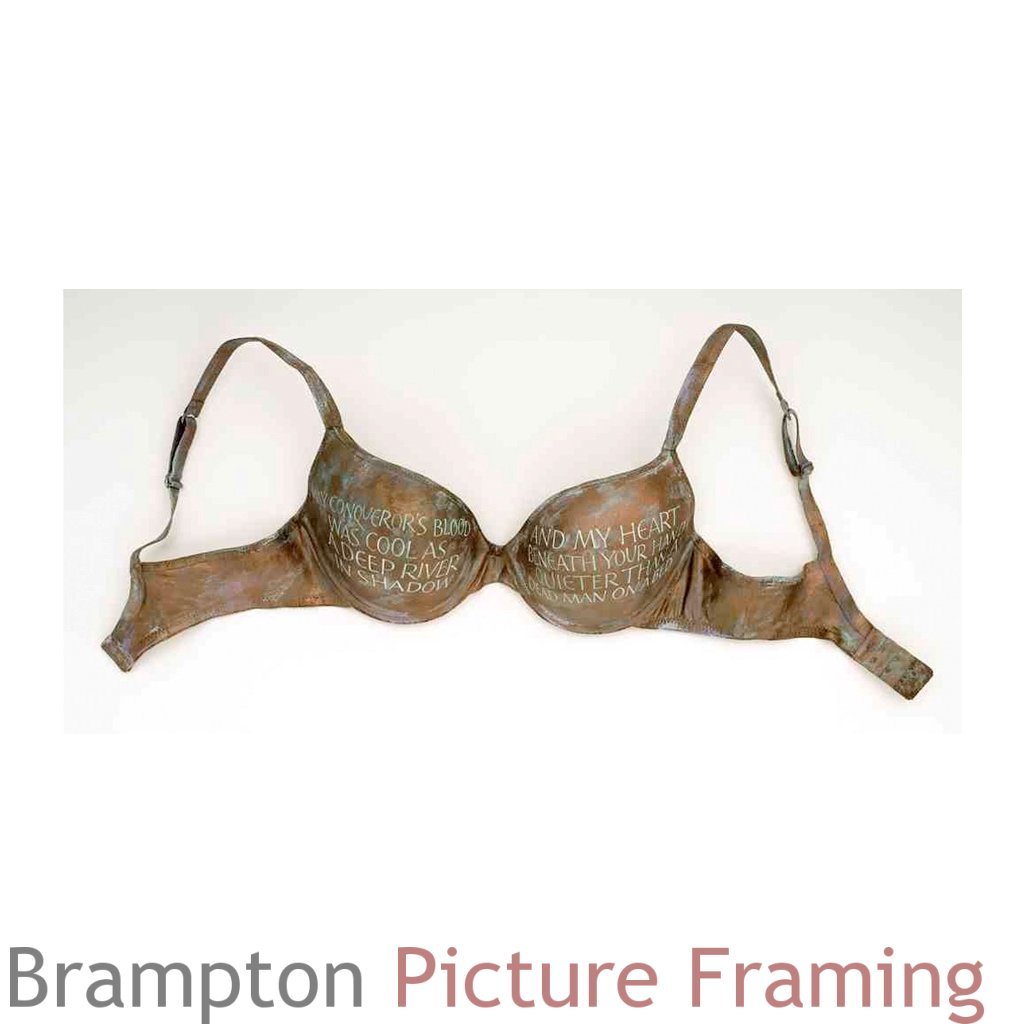 Framed bra libido painted - Hand painted bra a work by Elizabeth Forrest called Libido