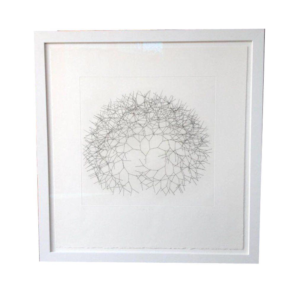 Limited Edition Branching Line By Tony Cragg Hard ground etching float mounted - limited edition tony cragg hinging tape uv filtration