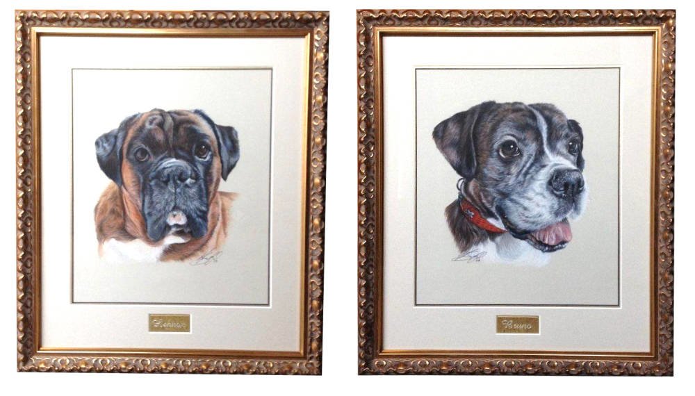 Pet portraits frames boxer dog drawing