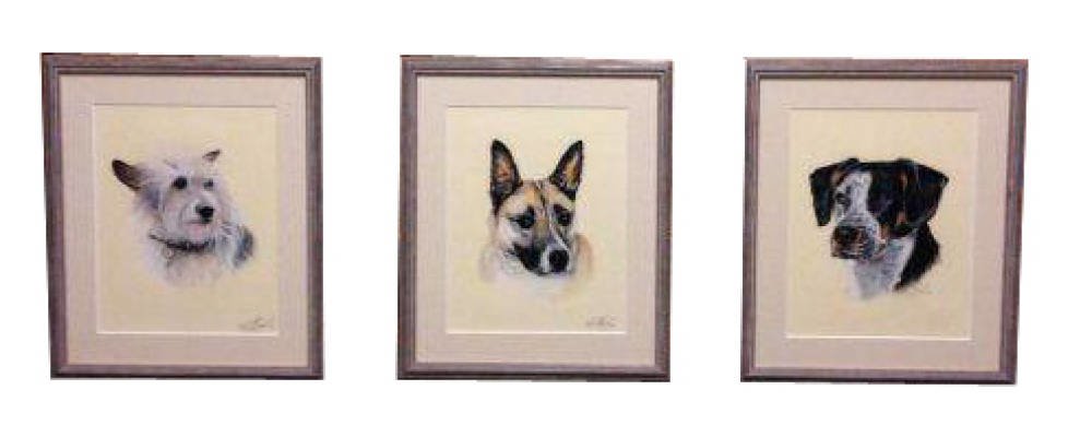 Karen M Berisford Set of Original dog portrait coloured pencil drawings