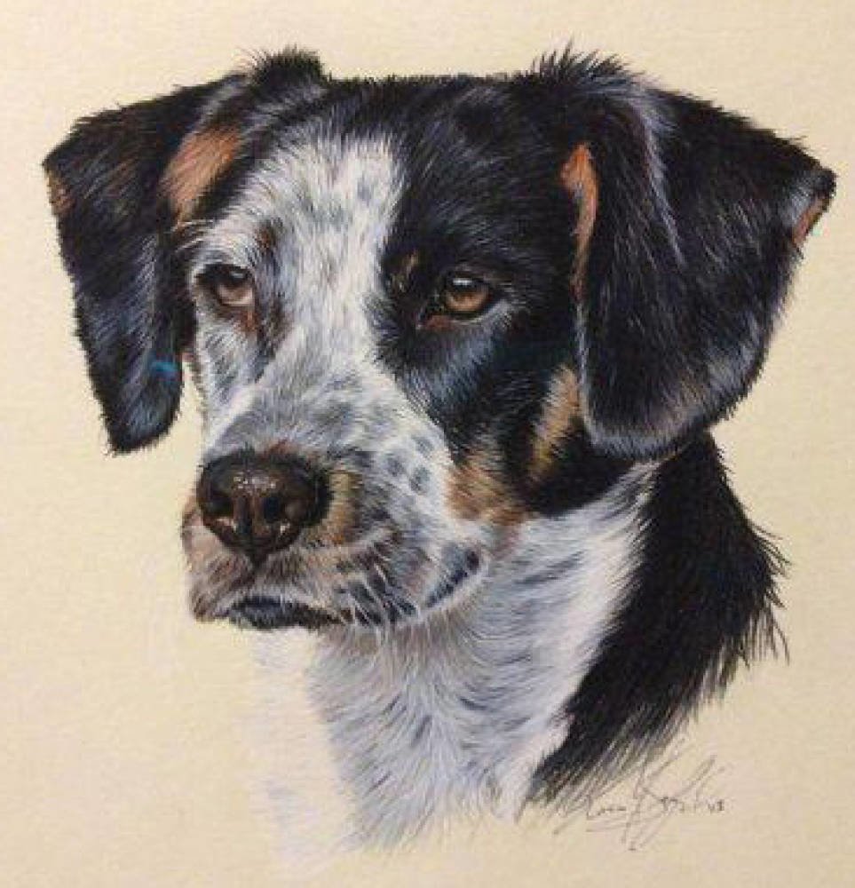 Karen M Berisford Set of Original dog portrait coloured pencil drawings