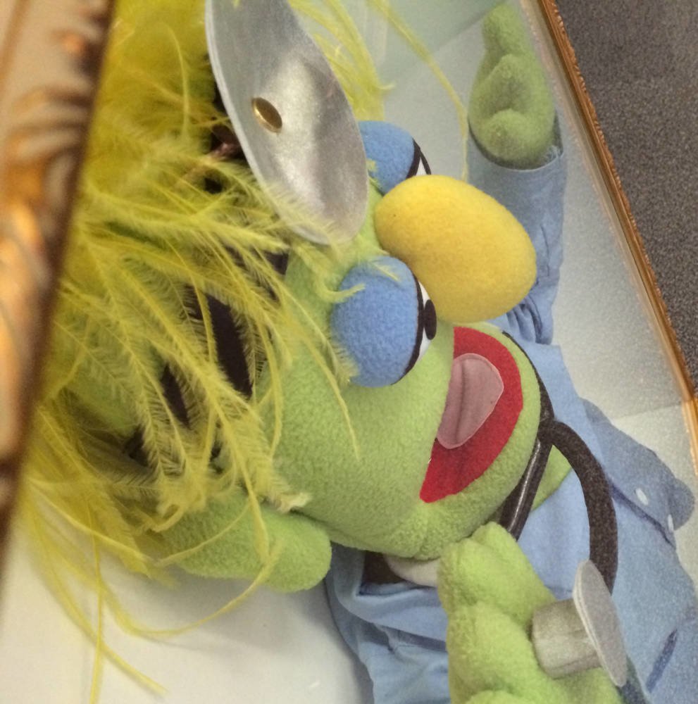 Muppets Dr Dave puppet
