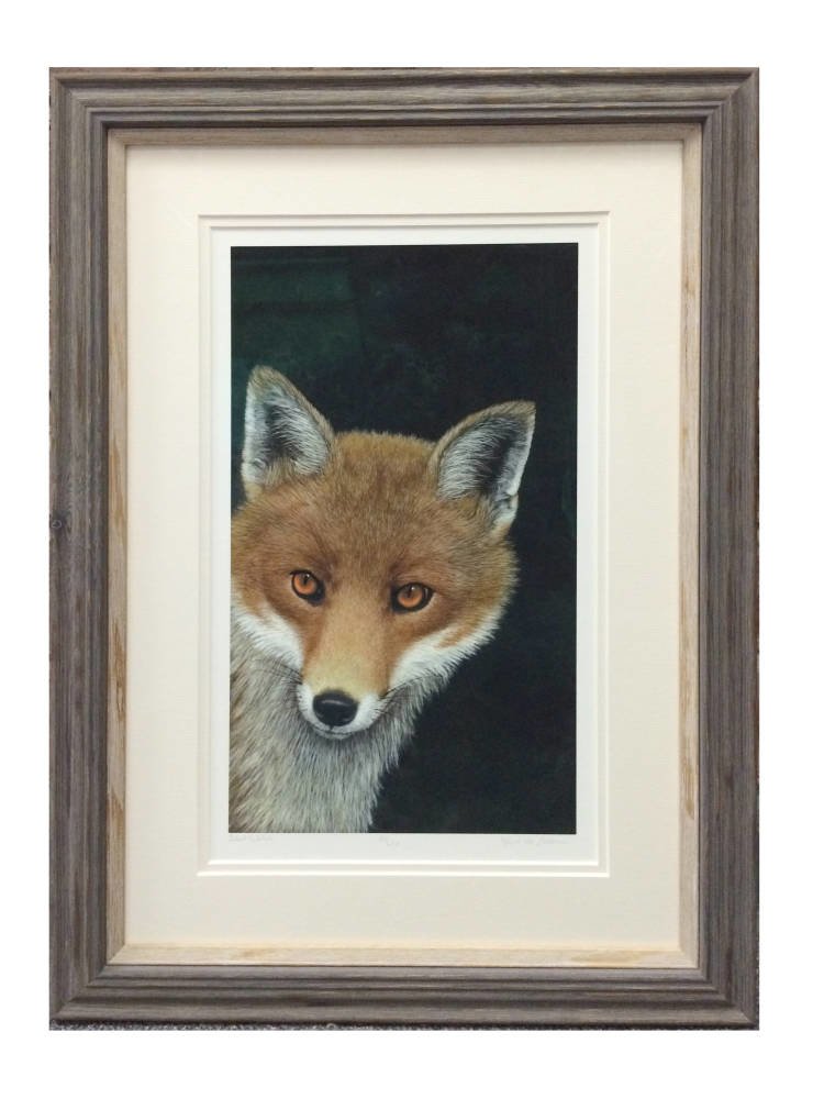 Limited Edition Framing -fox portrait