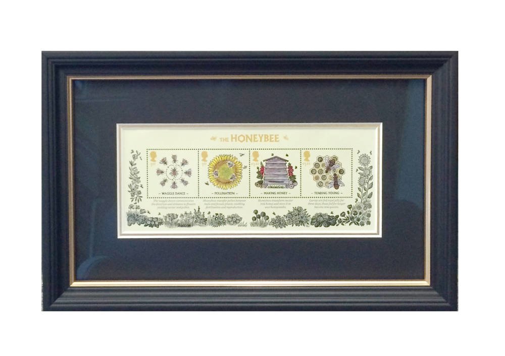 The Honeybee Stamp collection framed