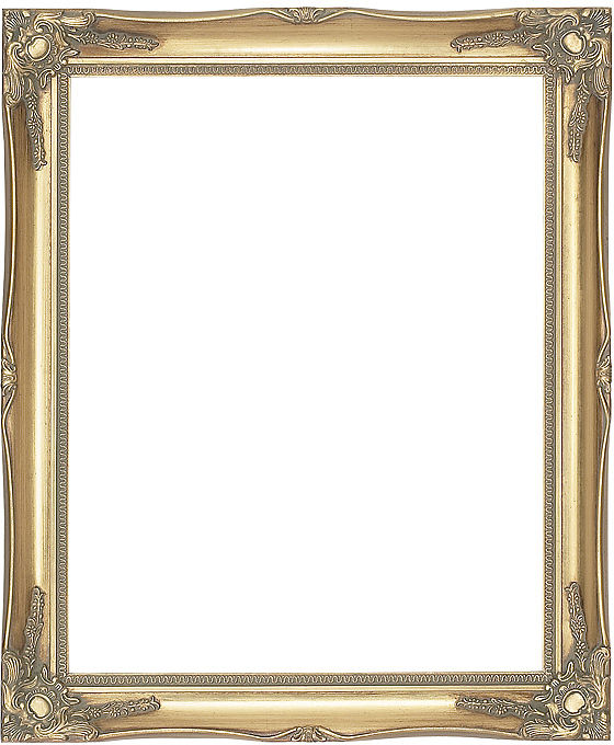 Gold Ready Made Picture Frame