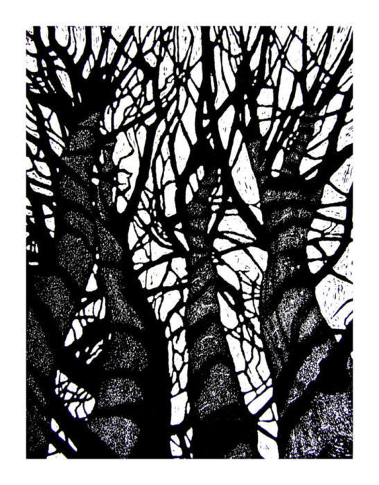 Shipley Trees 2 by Duncan Pass