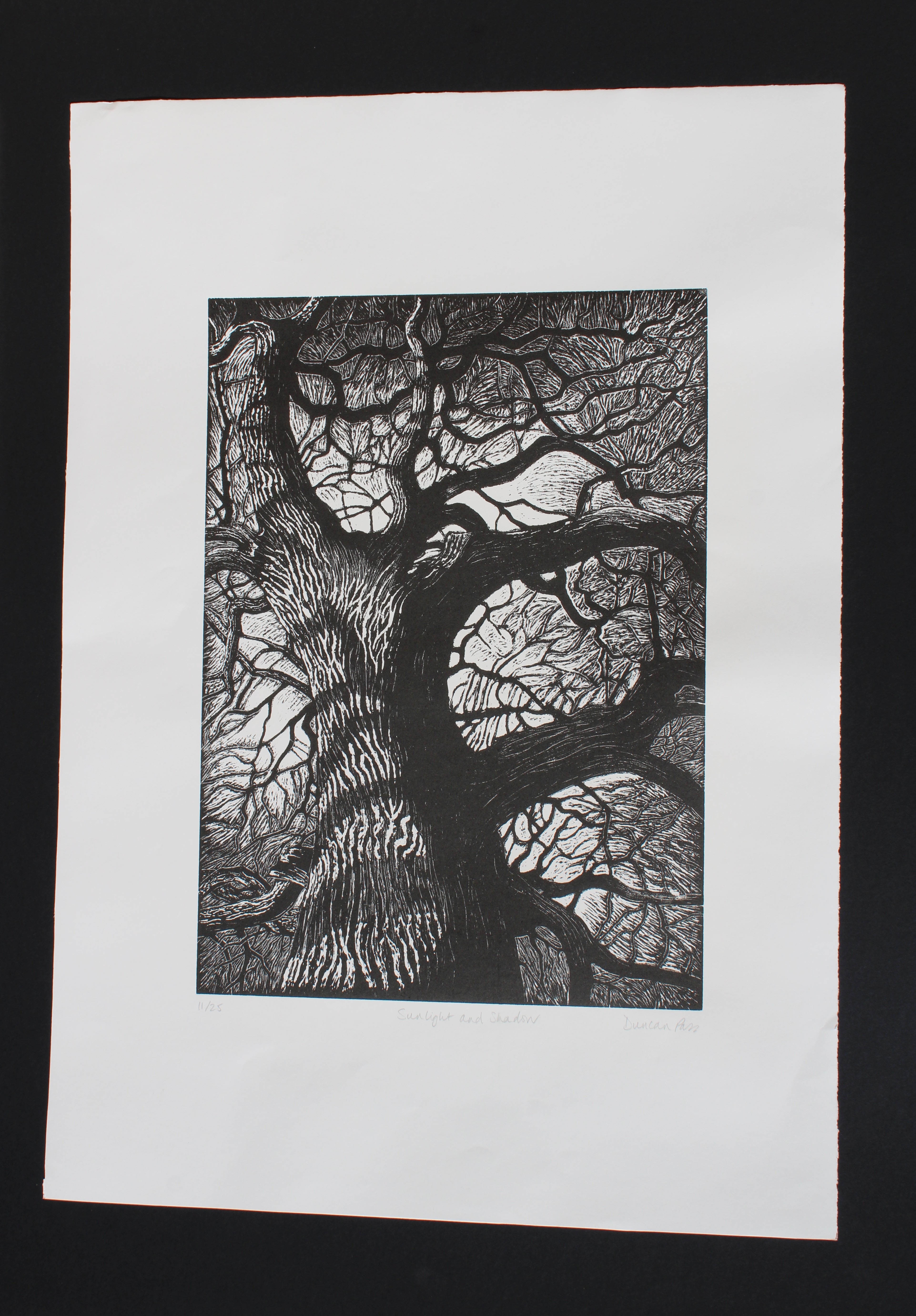 Sunlight And Shadow by Duncan Pass