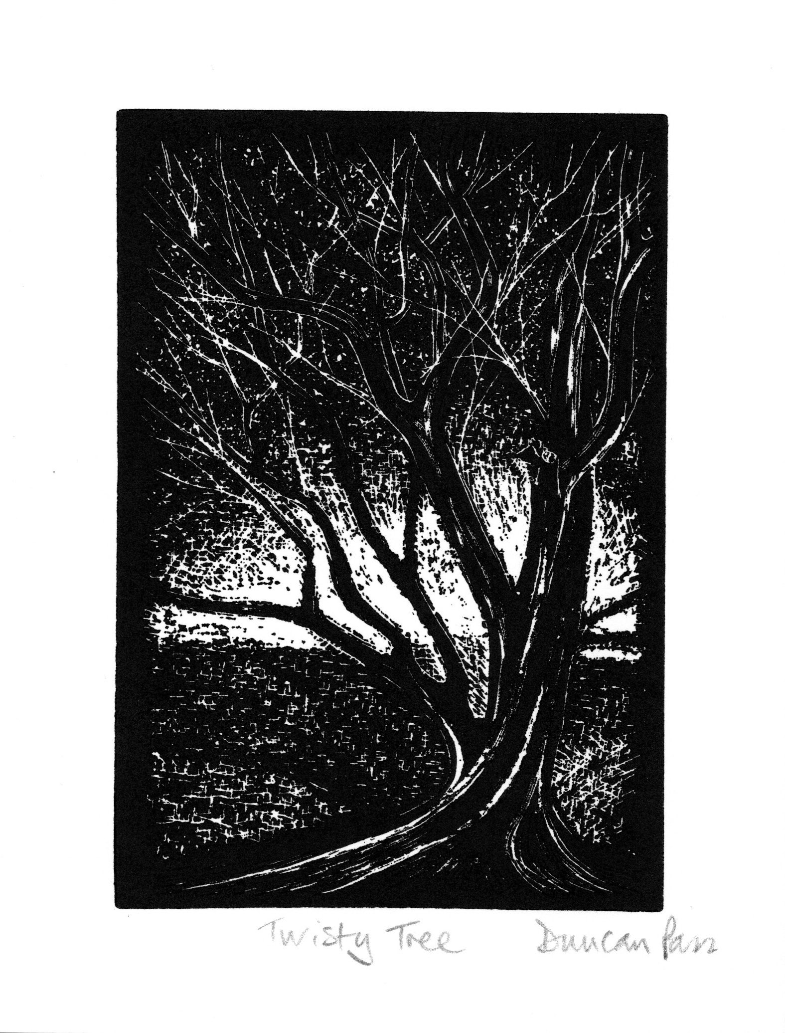 Twisty Tree by Duncan Pass
