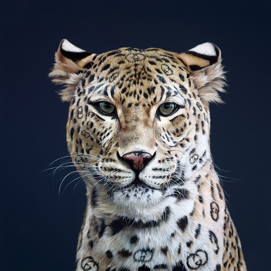 Gucci Girl (Unframed) by Hayley Goodhead