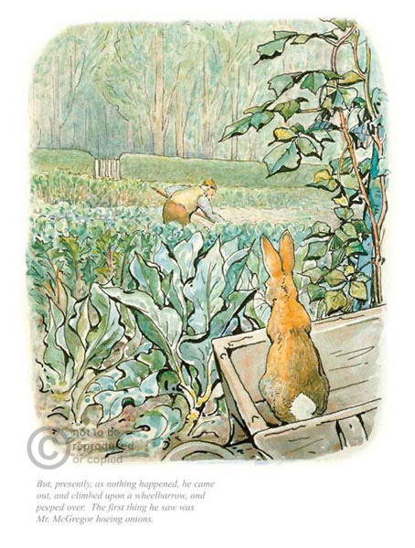 Peter Rabbit by Beatrix Potter