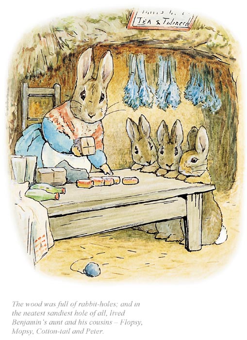 That Wood Was Full Of Rabbit Holes by Beatrix Potter