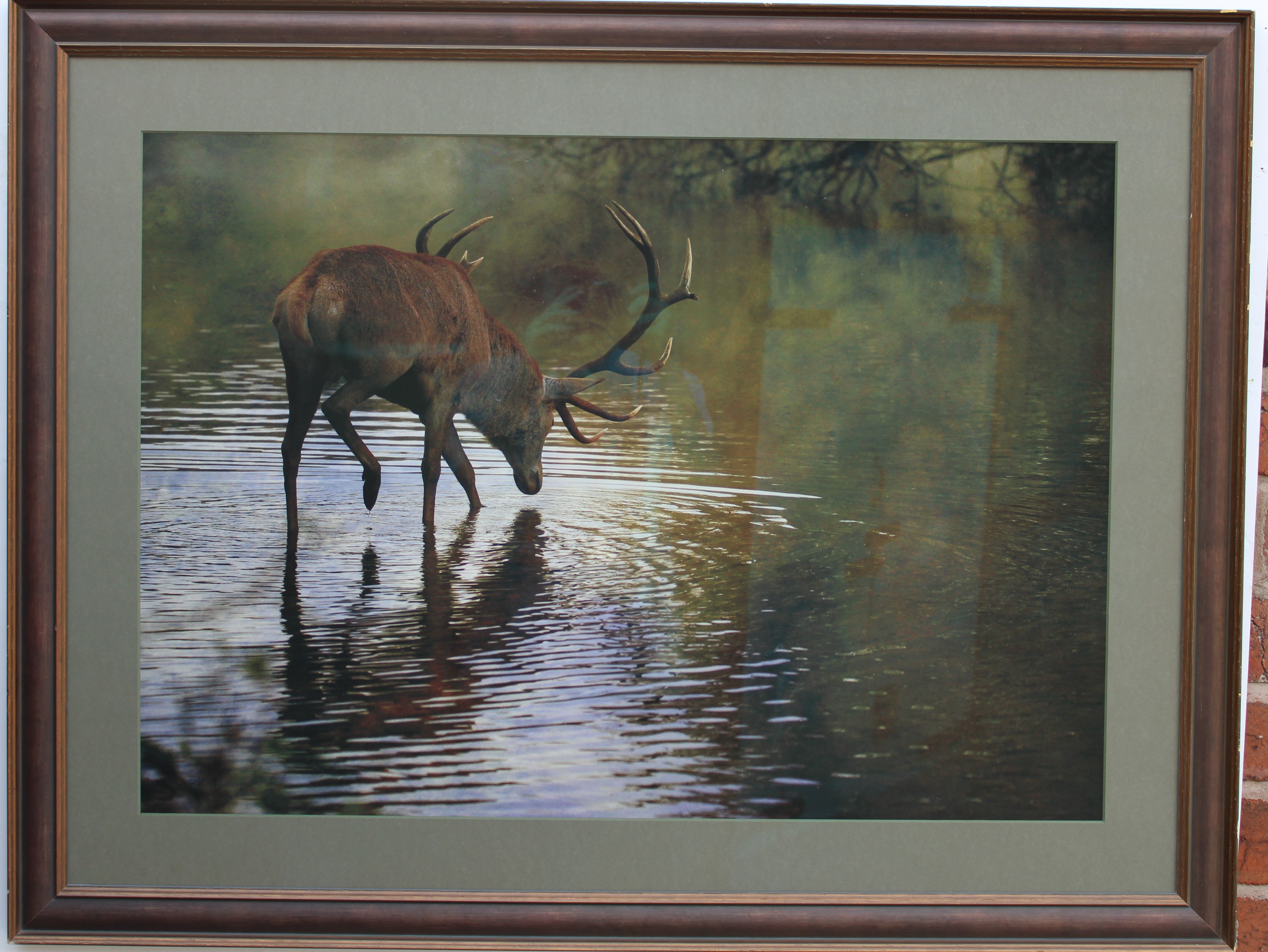 16 Tips by Heather Burns