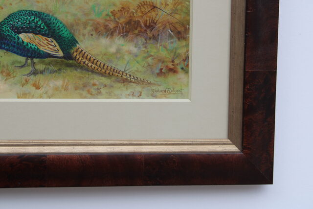 Pheasant  by Richard Robjent 