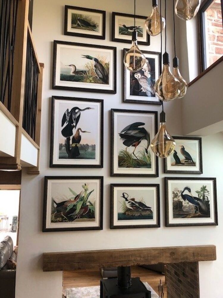 Collection of Bird Prints