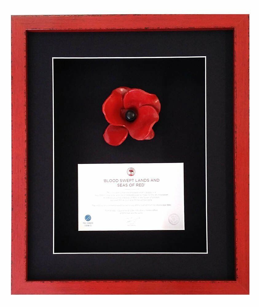 Ceramic Poppy by Paul Cummins 
