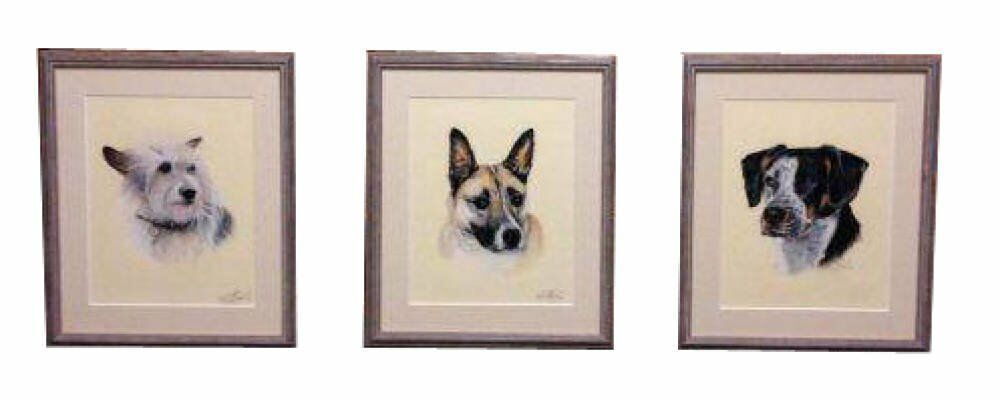 Set of Three Colour Pencil Drawings by Karen M Berisford