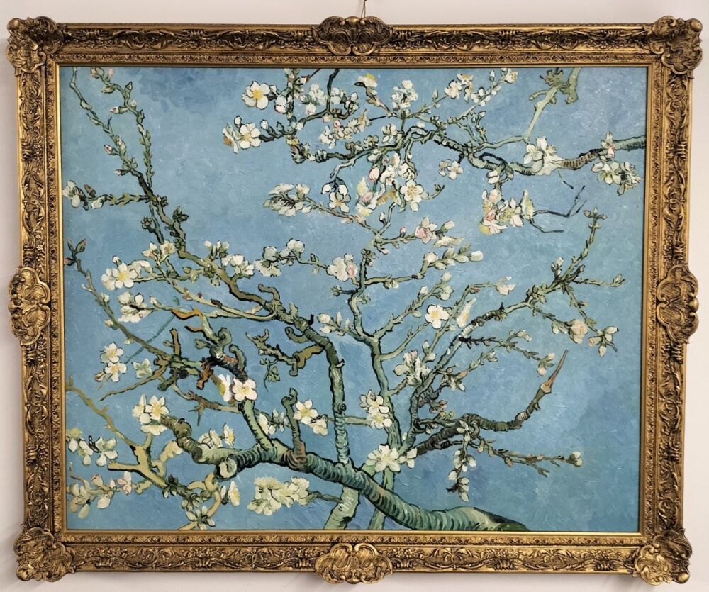 Ornate Picture Frames