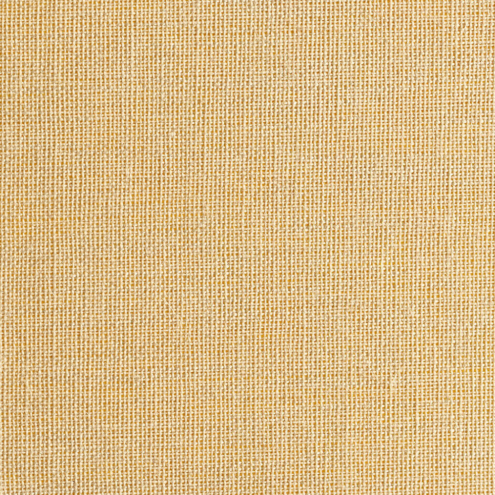 Hazel (8519)