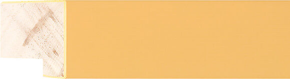 Sample of 150632000 Picture Frame Moulding