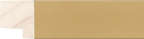 Sample of 150651000 Picture Frame Moulding