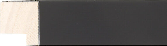 Sample of 150652000 Picture Frame Moulding