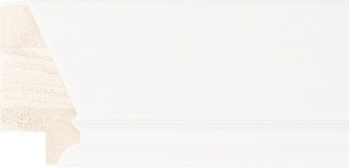 Sample of 202560127 Picture Frame Moulding