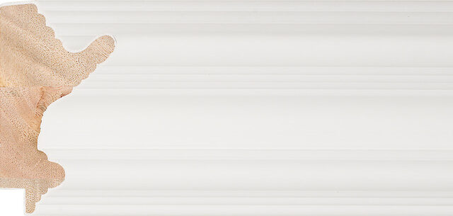 Sample of 216127000 Picture Frame Moulding