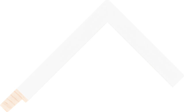 219170181 - White - 19mm wide picture frame chevron