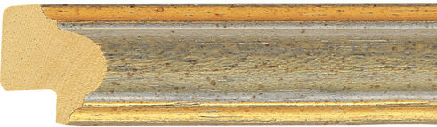 Sample of 224204000 Picture Frame Moulding