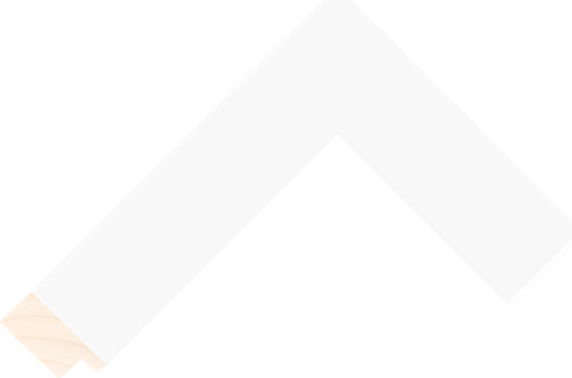 240170181 - White - 40mm wide picture frame chevron