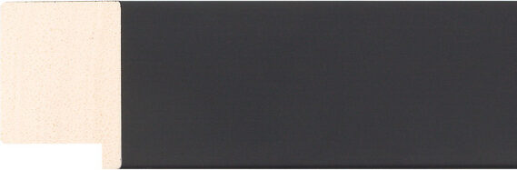 Sample of 449167000 Picture Frame Moulding