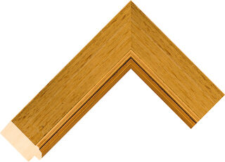 AQ.470246000 moulding