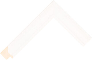 AQ.471000127 moulding