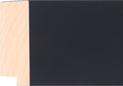 Sample of 507167000 Picture Frame Moulding