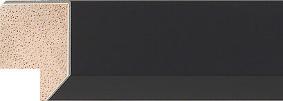 Sample of 522167000 Picture Frame Moulding