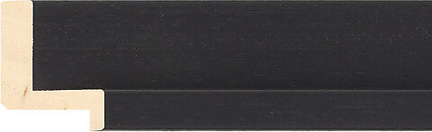 Sample of 534000167 Picture Frame Moulding