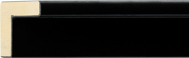 Sample of 619167000 Picture Frame Moulding