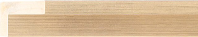 Sample of 631110000 Picture Frame Moulding