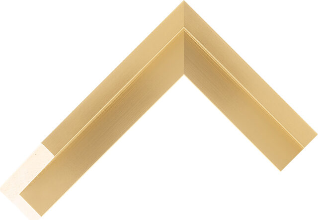 631180000 - Liso Gold - 38mm wide picture frame chevron