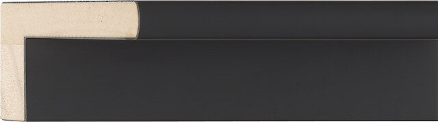 Sample of 638167000 Picture Frame Moulding