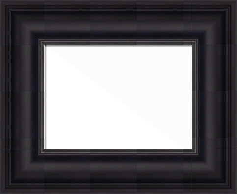 Picture Frame made with 601167000e Moulding