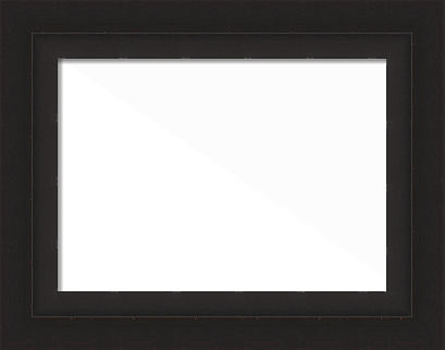 Picture Frame made with 942006086 Moulding